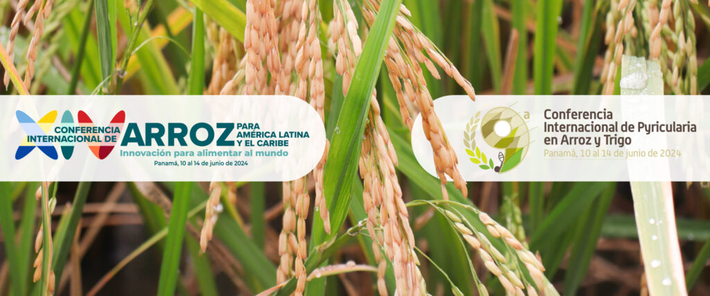 9th International Conference on Pyricularia in Rice and Wheat