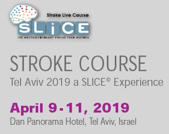 SLICE 2019 – A Stroke Course